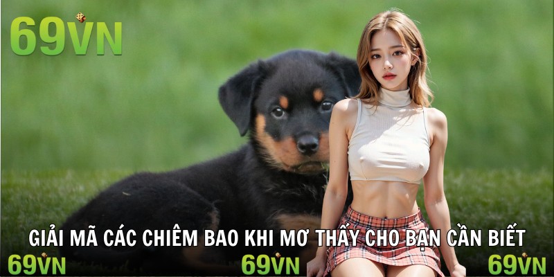 Giải mã các chiêm bao khi mơ thấy cho bạn cần biết