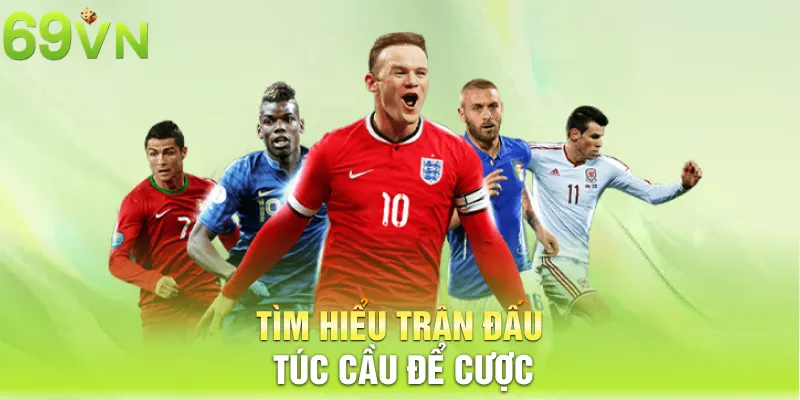 Tìm hiểu trận đấu túc cầu để cược