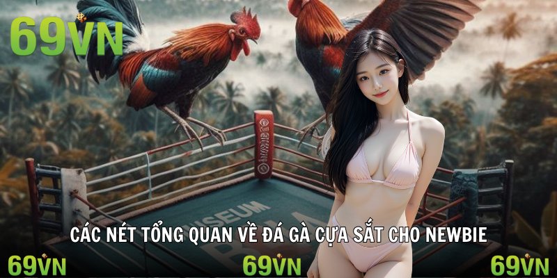 Các nét tổng quan về đá gà cựa sắt cho newbie